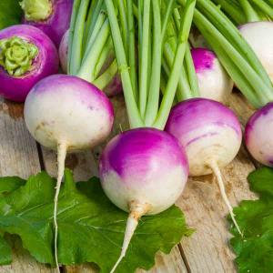 Navet-Légume de Nancy à Feuille Entière